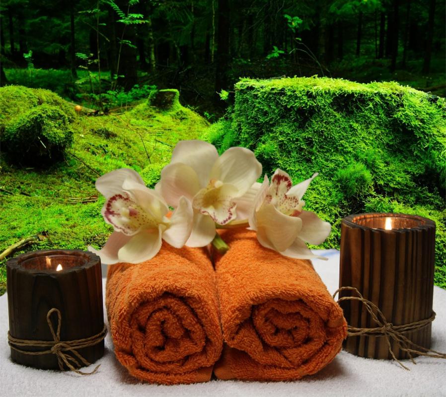 Spa massage bien etre wellness zen nature relaxation images photos gratuites libres de droits 1560x1389